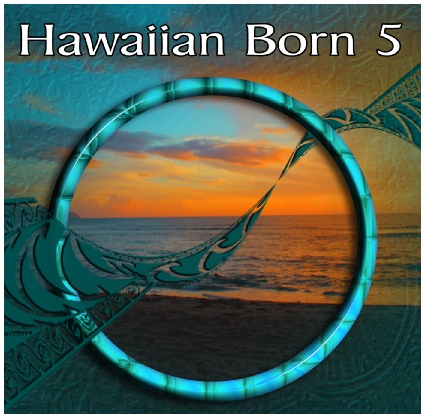 Hawaiian Born 5 Hawaiian Reggae Music