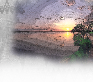 Hawaiian Music Background